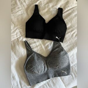 Puma Women's Black and Gray Sports Bras